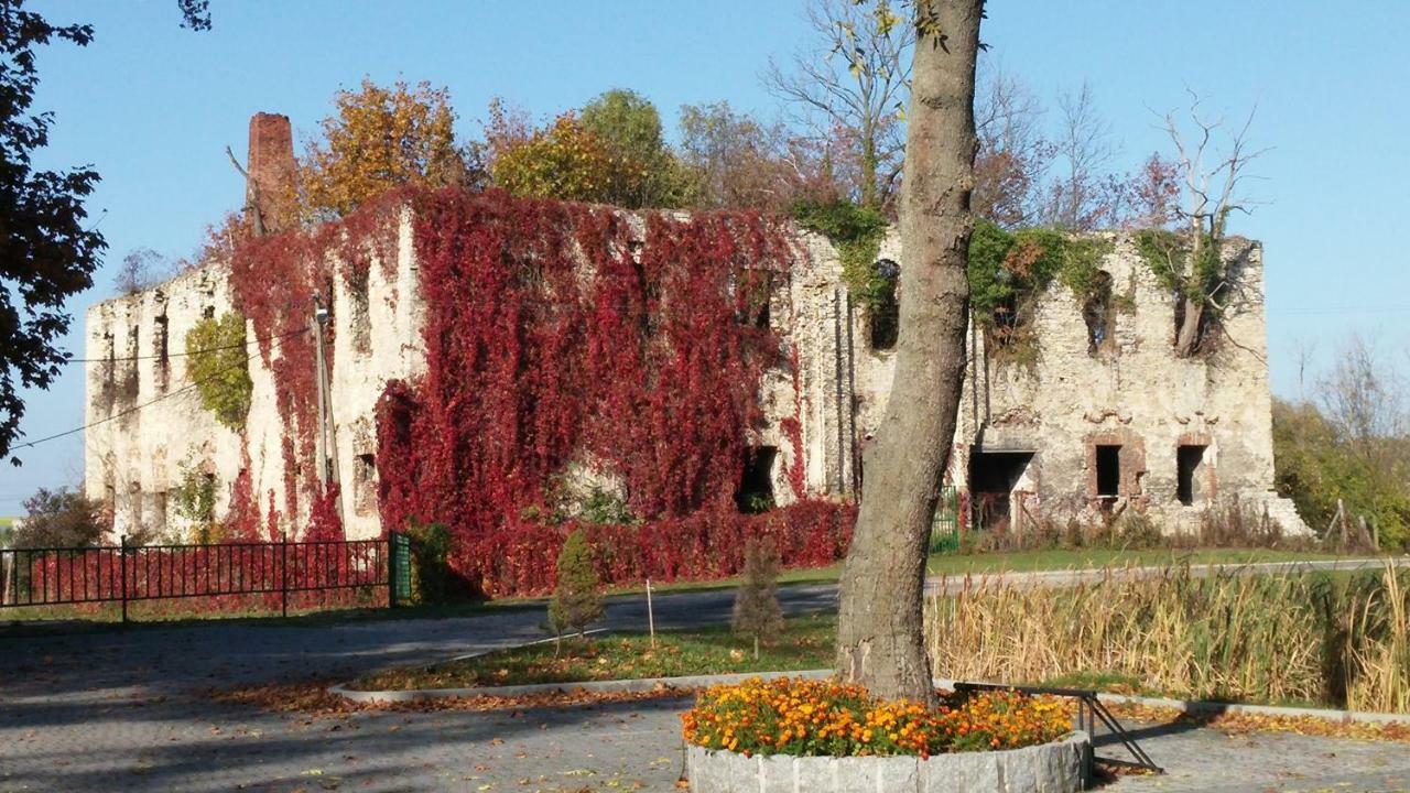 卢卡宫酒店 Zakrzów 外观 照片